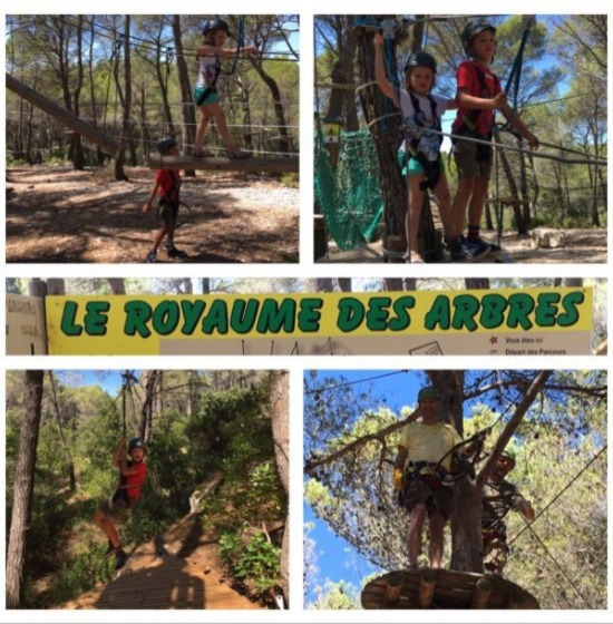 LE ROYAUME DES ARBRES LE CASTELLET A PARTIR DE 11